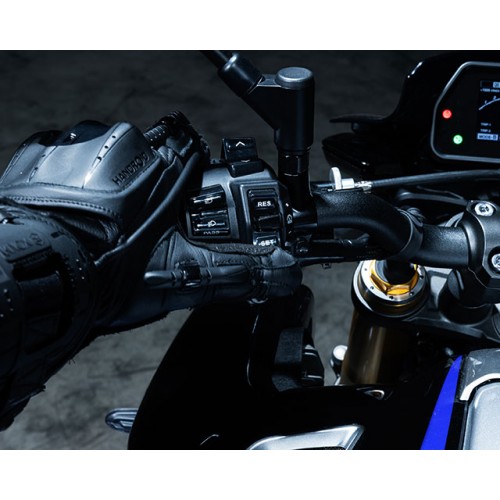 Cruise Control & Variable Speed Limiter