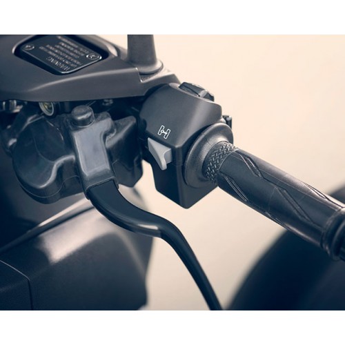 Standing Assist System