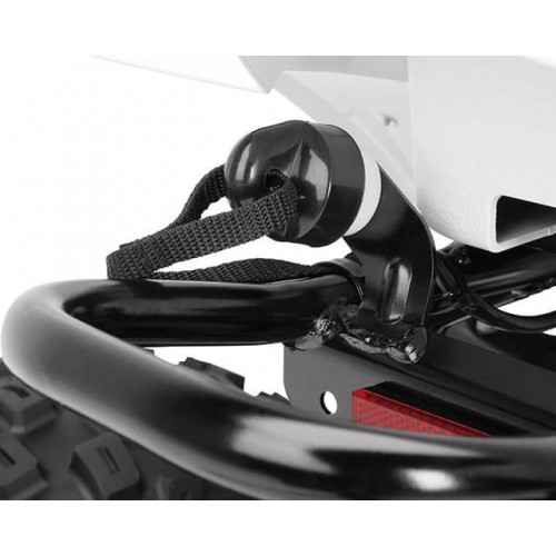 Engine Limiter and Tether Switch